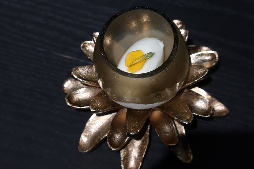 ไอศกรีมซอร์เบท(Sorbet) กับว่านหางจรเข้