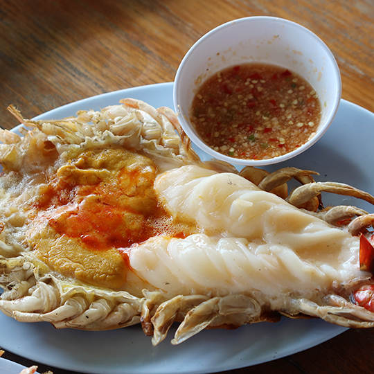 ต้นน้ำริเวอร์วิว