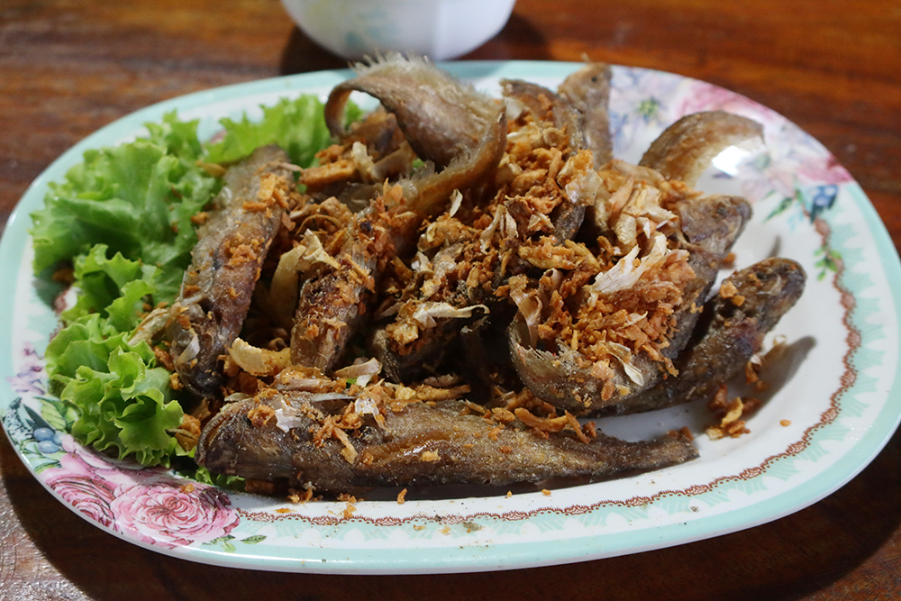 ปลาเนื้ออ่อนทอดกระเทียม