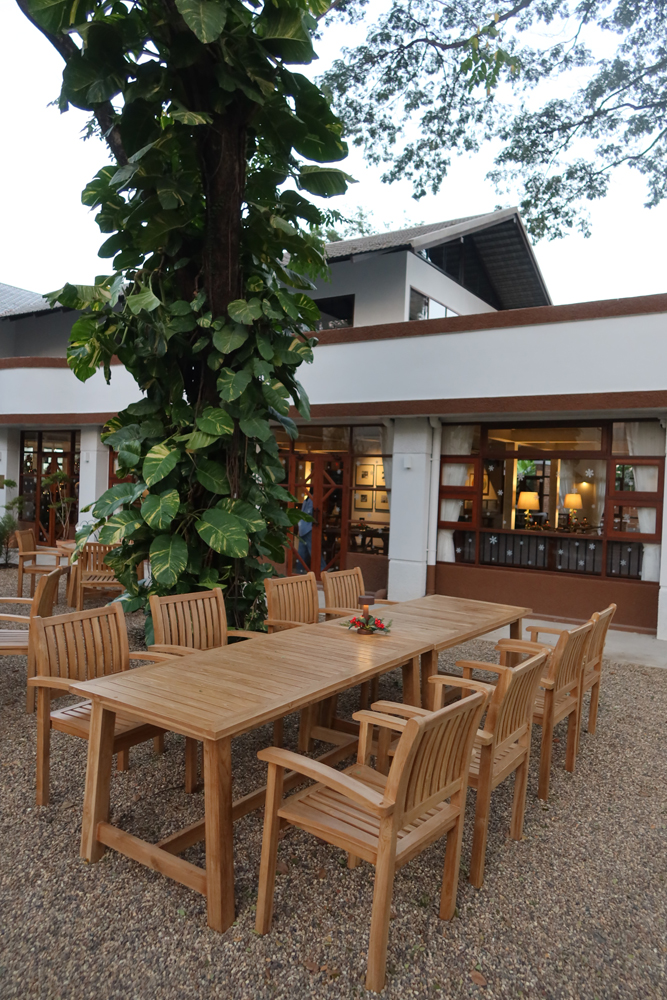 Owl Brasserie